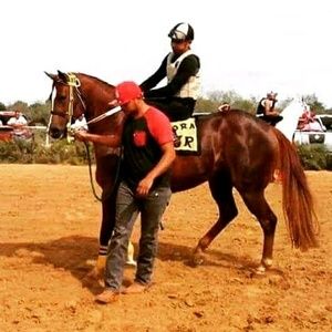 Meet your Posher, Marco